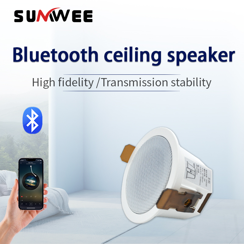 Mini Bluetooth Deckenlautsprec – Home Cinema System Bewertung und Preis